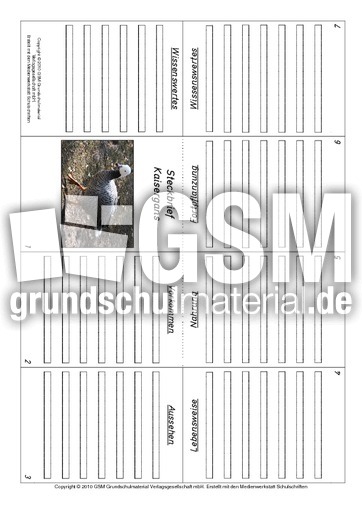 Faltbuch-Kaisergans.pdf